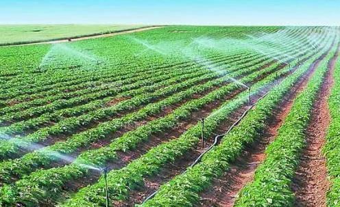 欧美国产就要干逼农田高 效节水灌溉